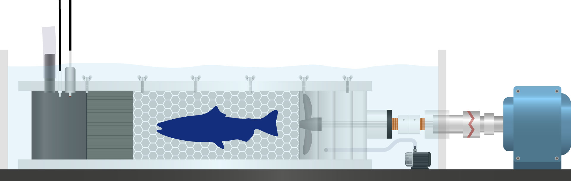 Large Swim Tunnel Side Setup