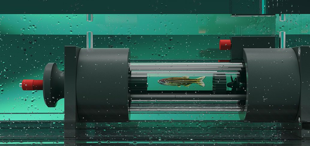 SWIM TUNNELS (2)