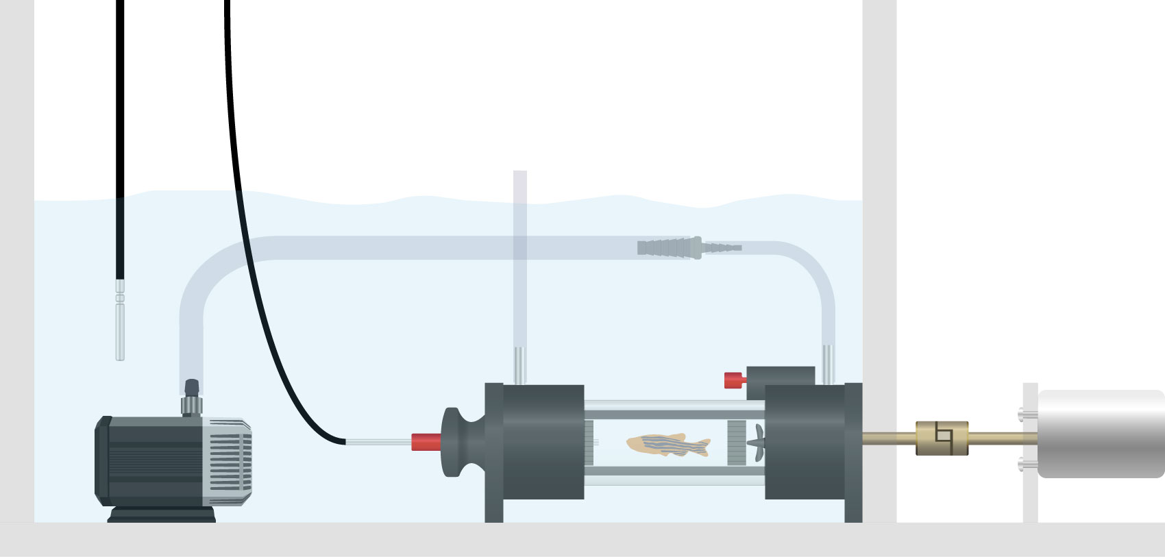 Mini Swim Tunnel Setup Dipping Probe